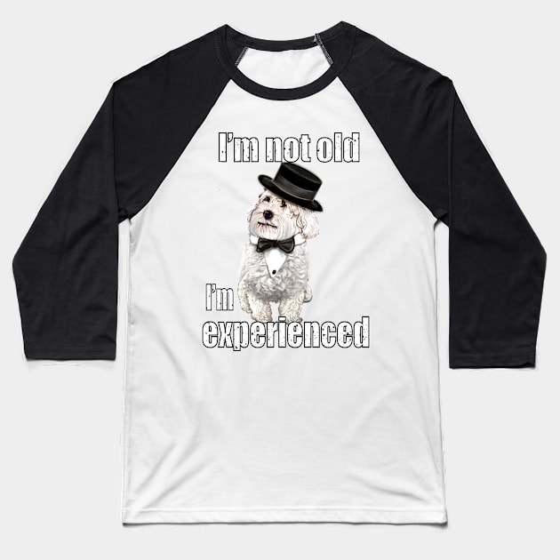 I’m not old I’m classic experienced funny humor getting older joke Cavapoo puppy dog Baseball T-Shirt by Artonmytee